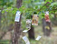 De fiscale voordelen van “Natuurlijk” Vastgoed