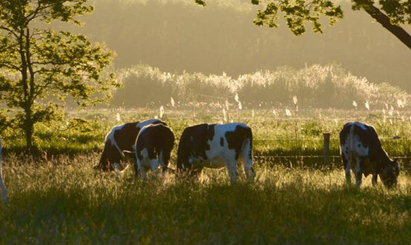 Kansen voor de natuurboer