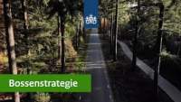 37.000 ha nieuw bos in 2030? Door creatief te combineren!