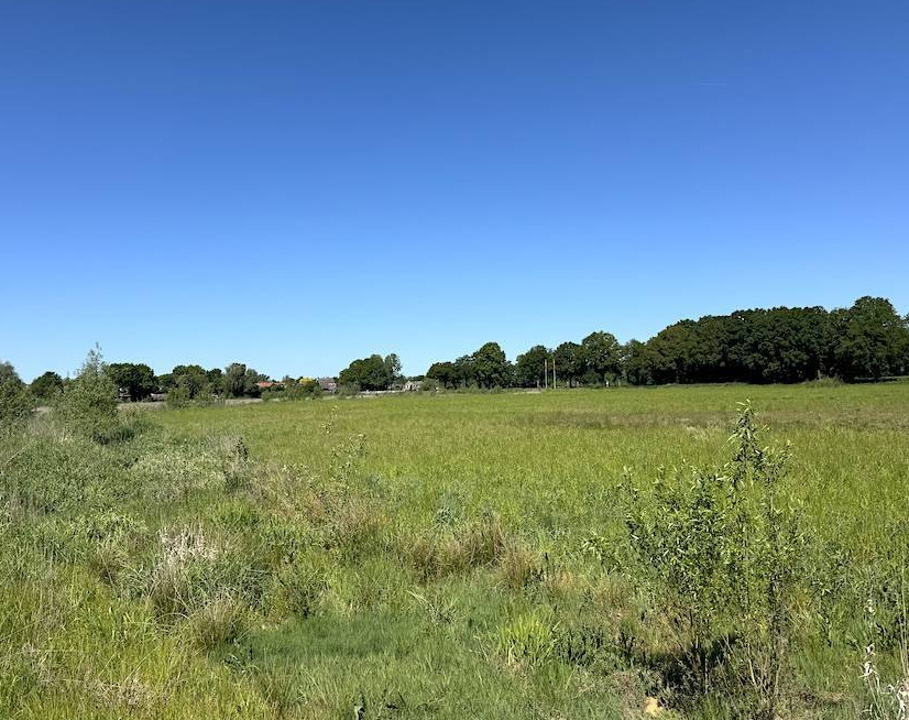 Kruiden- en faunarijke graslanden nabij het dorpje Glane
