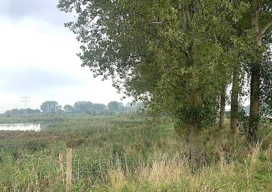 Natuurgebied gelegen naast Fort bij Nigtevegt
