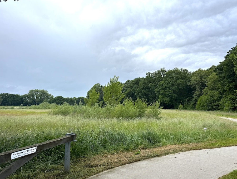 Percelen te koop in het dorpje Glane, gemeente Losser, Twente