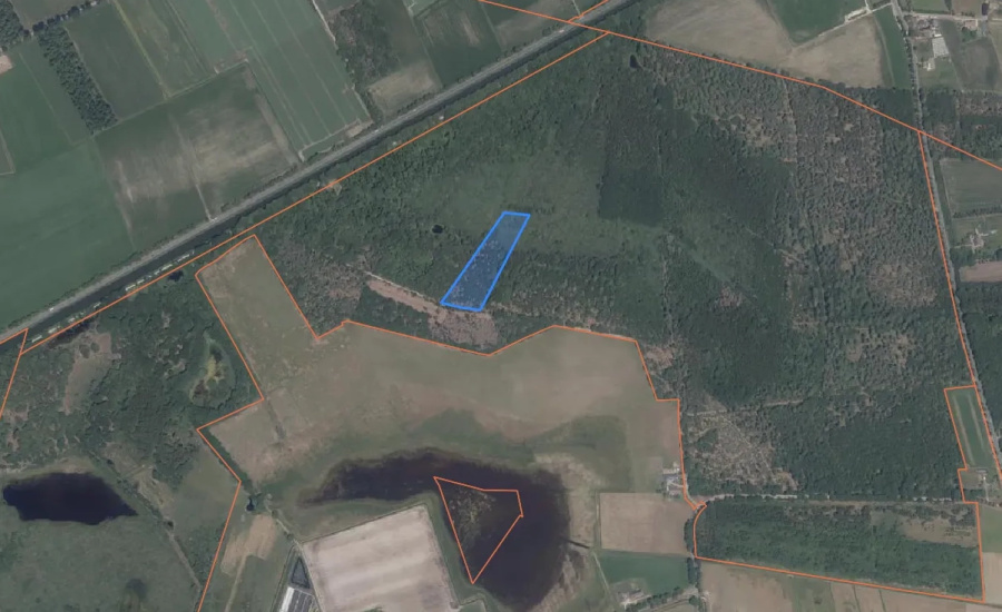 Bosperceel in Heythuysen - Verkocht onder voorbehoud