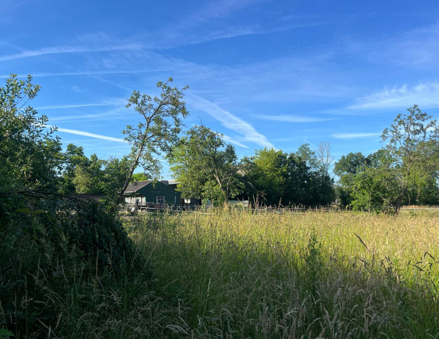 Landbouwgrond met ontwikkelingspotentieel - Verkocht