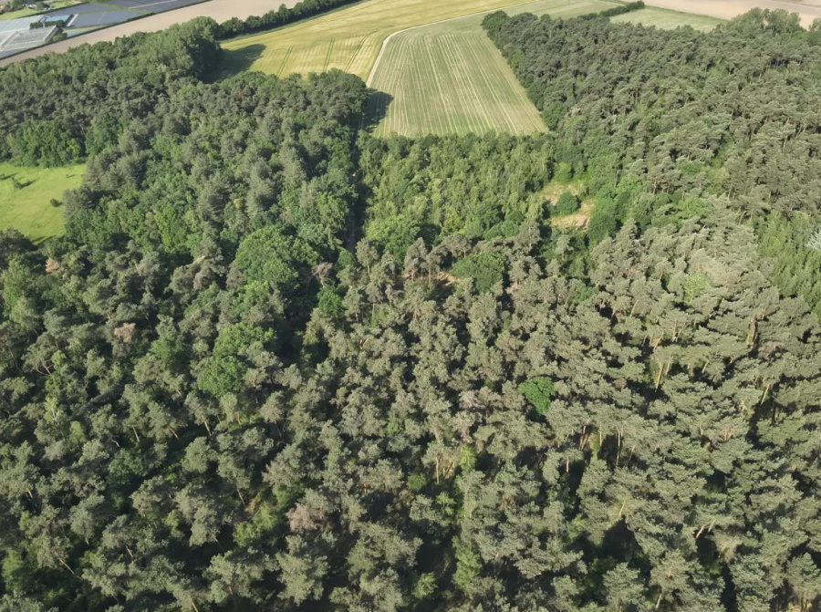 Bosperceel in Roggel - Verkocht onder voorbehoud
