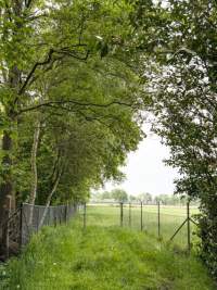 Realiseer je eigen voedselbos in Weert